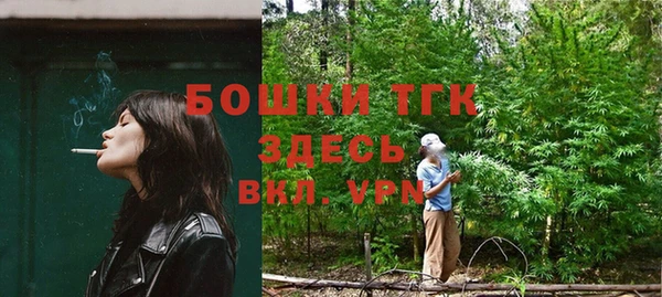 СК Алексин