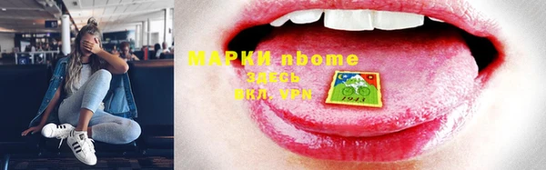 СК Алексин