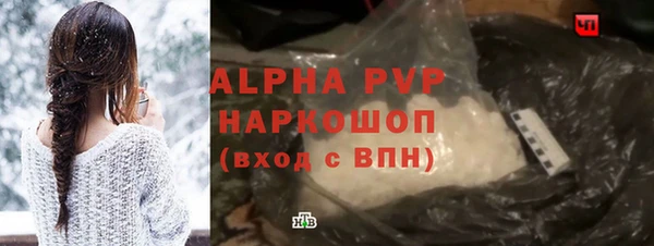 СК Алексин