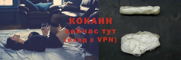 СК Алексин