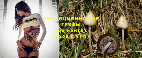 СК Алексин