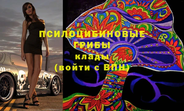 ешки Алзамай