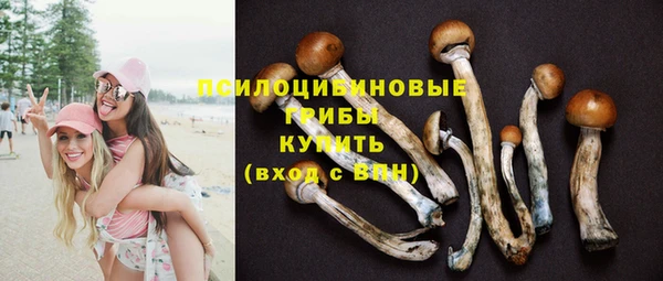 ешки Алзамай